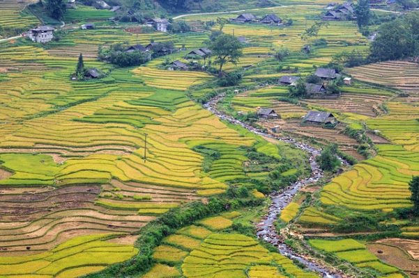 Visiter le Vietnam en 4 incontournables pour les vacances